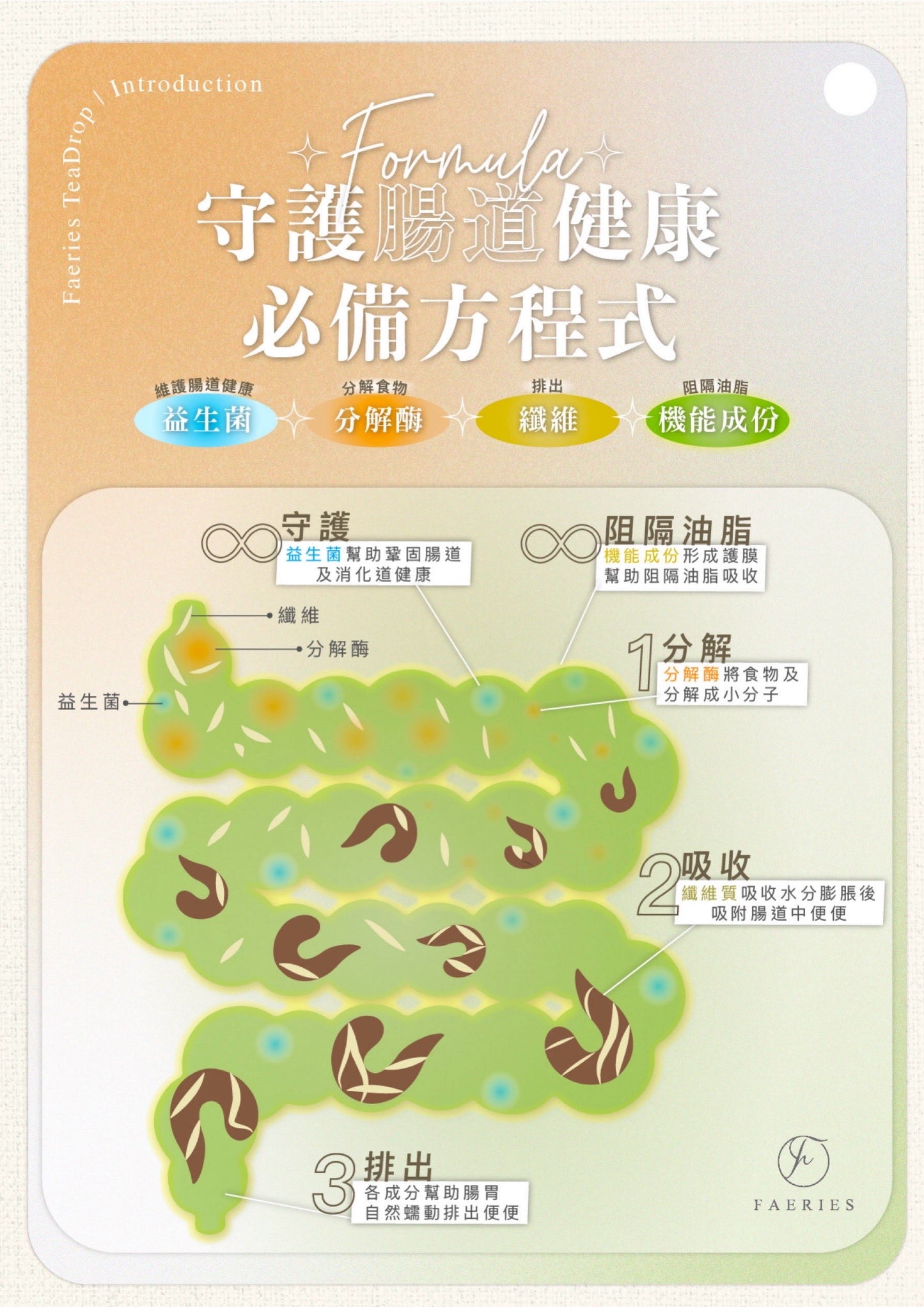 Teadrop 油切纖果茶