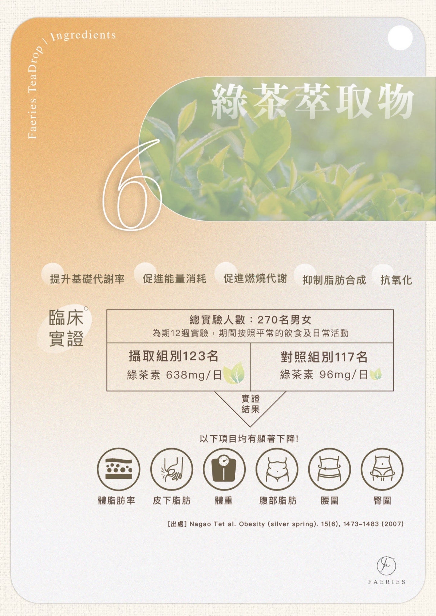 Teadrop 油切纖果茶