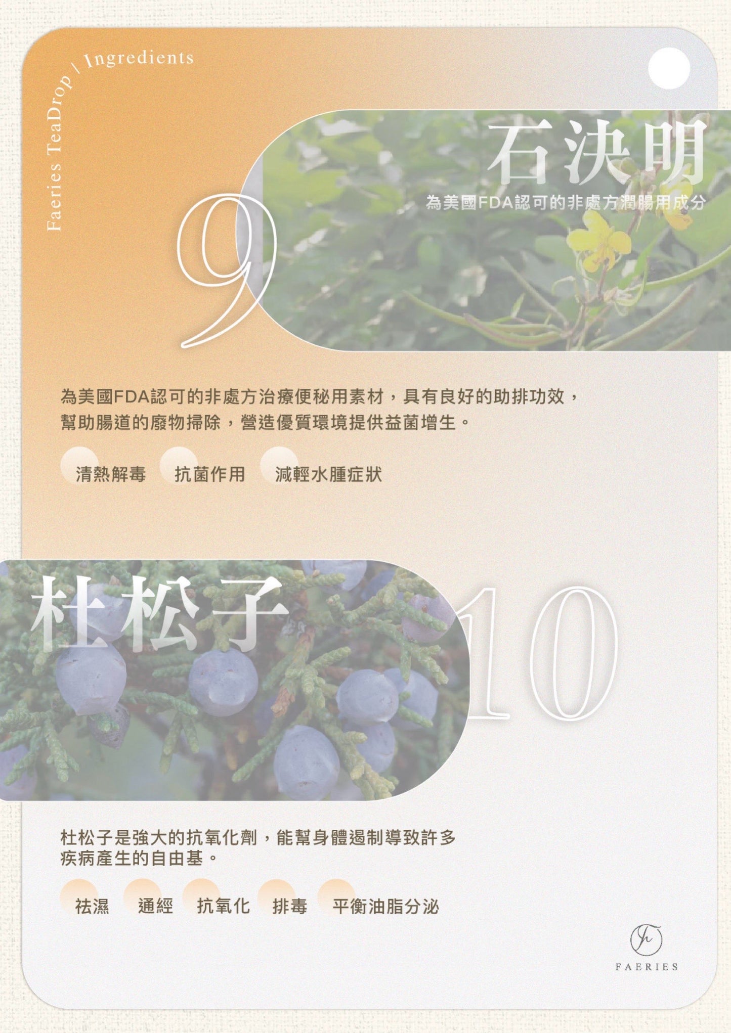 Teadrop 油切纖果茶
