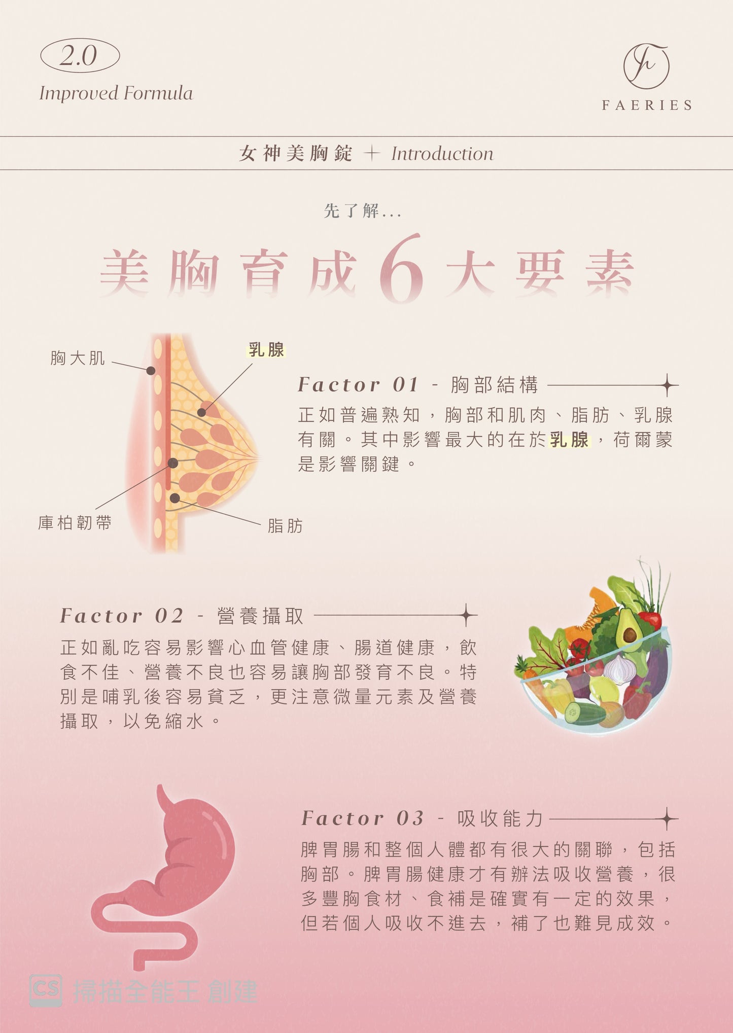 女神美胸錠+