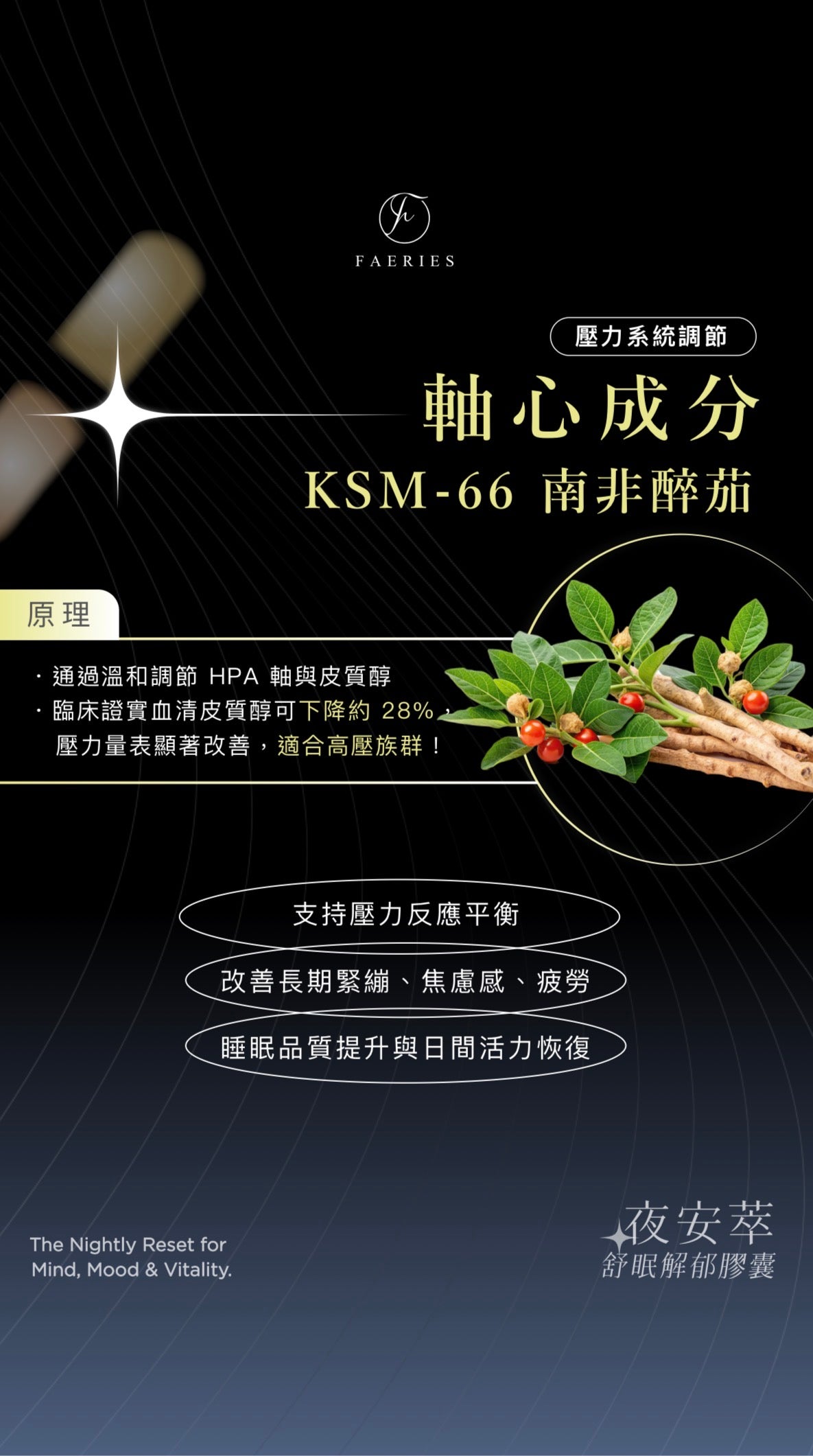 Pillow 夜安萃舒眠解郁膠囊